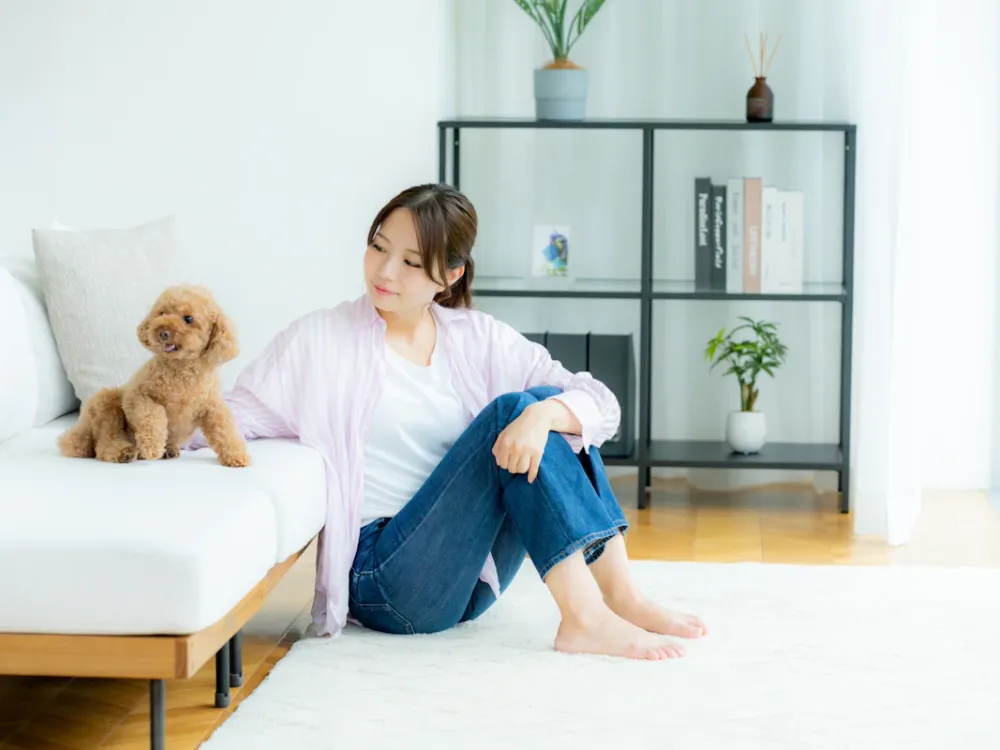 ペットのためのリノベーションとは?アイデアや費用・注意点